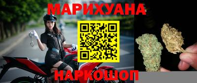 стаф Лесосибирск
