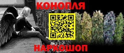 стаф Лесосибирск