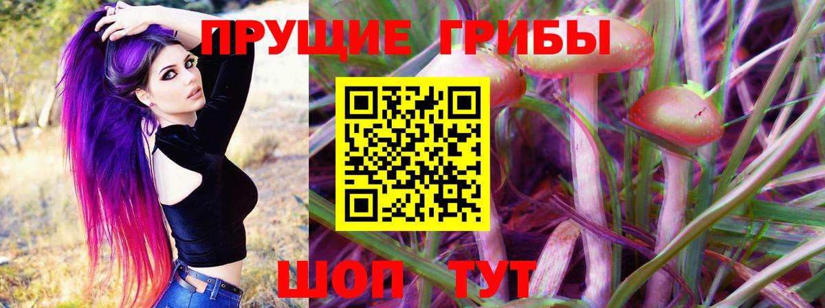 Галлюциногенные грибы Psilocybine cubensis Южноуральск