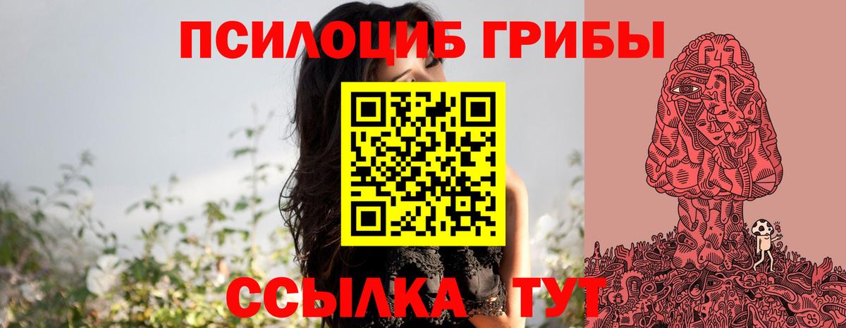 Южноуральск  купить наркотик  Вход с VPN  Псилоцибиновые грибы Cubensis 